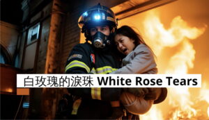 白玫瑰的淚珠