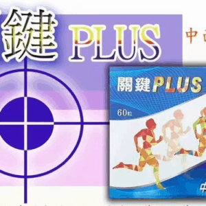 關鍵 PIus
